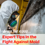 After the hurricane flood mold remediation