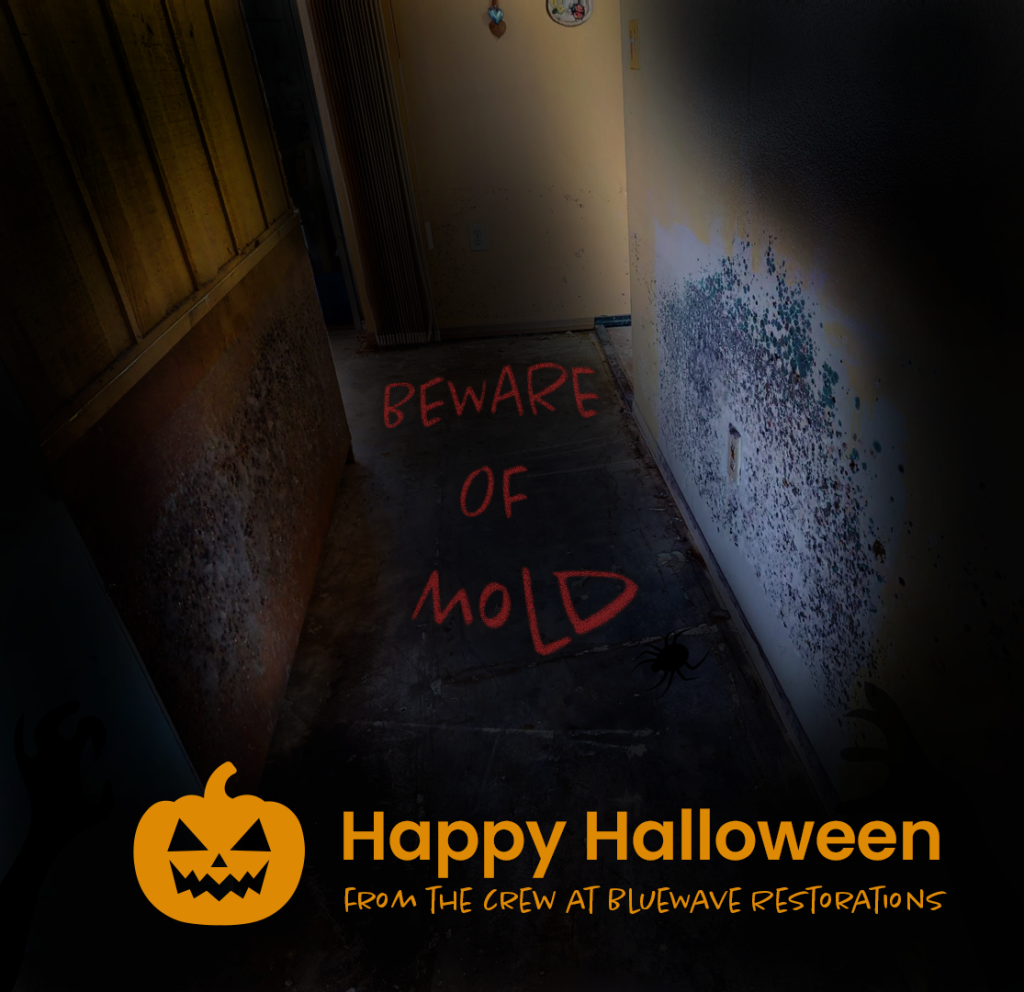 beware of mold. happy halloween from the crew at Bluewave Restorations