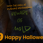 beware of mold