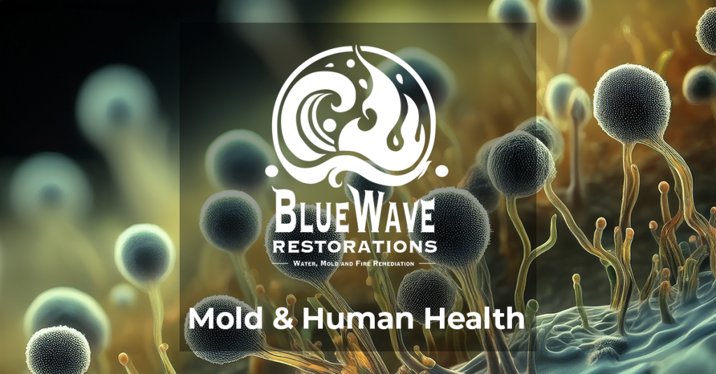 mold and human health