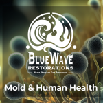 mold and human health
