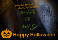beware of mold