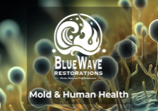 mold and human health